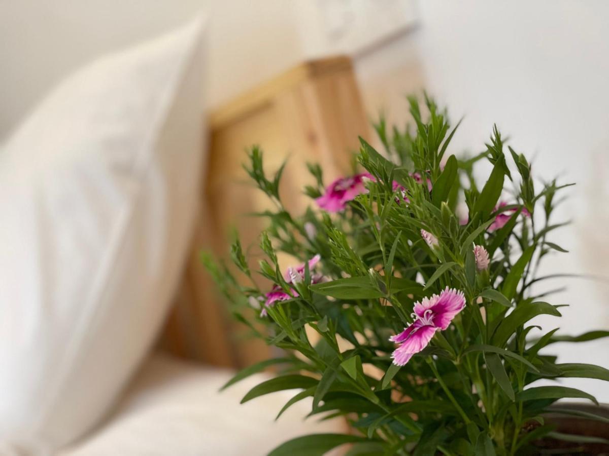 Pleiku Homestay Екстериор снимка